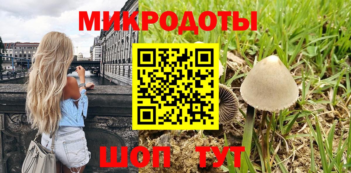 Тельмана  Галлюциногенные грибы прущие грибы  Вход с VPN  Галлюциногенные грибы мицелий 
